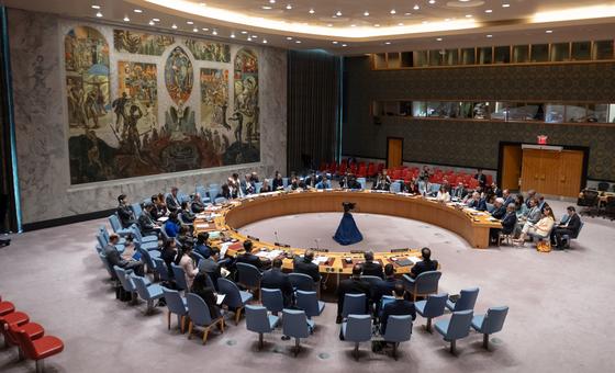 Le Pakistan, la Somalie, le Panama, le Danemark et la Grèce élus au Conseil de sécurité des Nations Unies